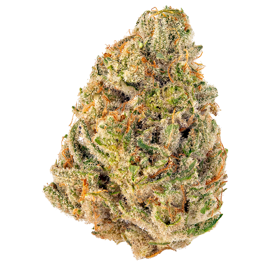 Raspberry Beret