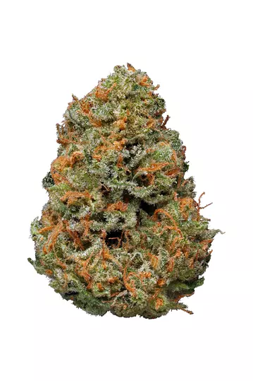 Papaya
