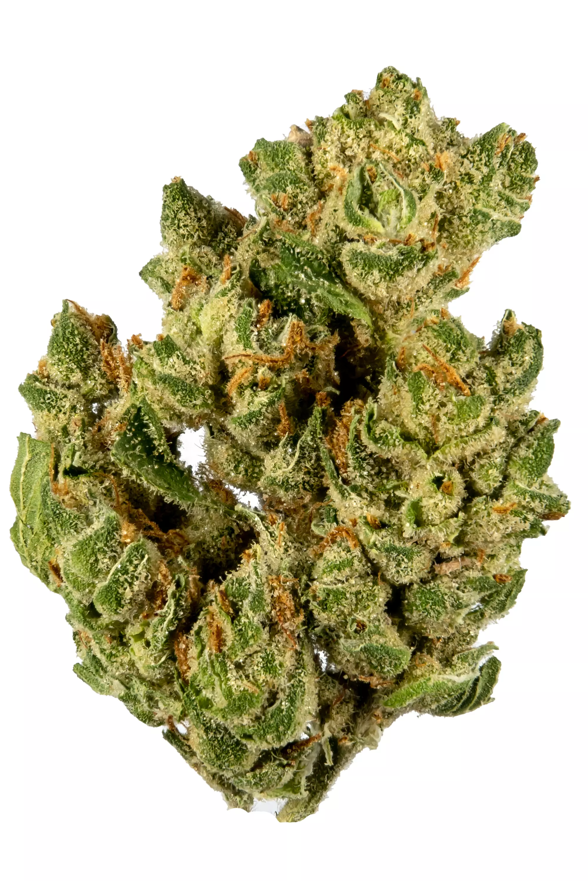 Banana Og