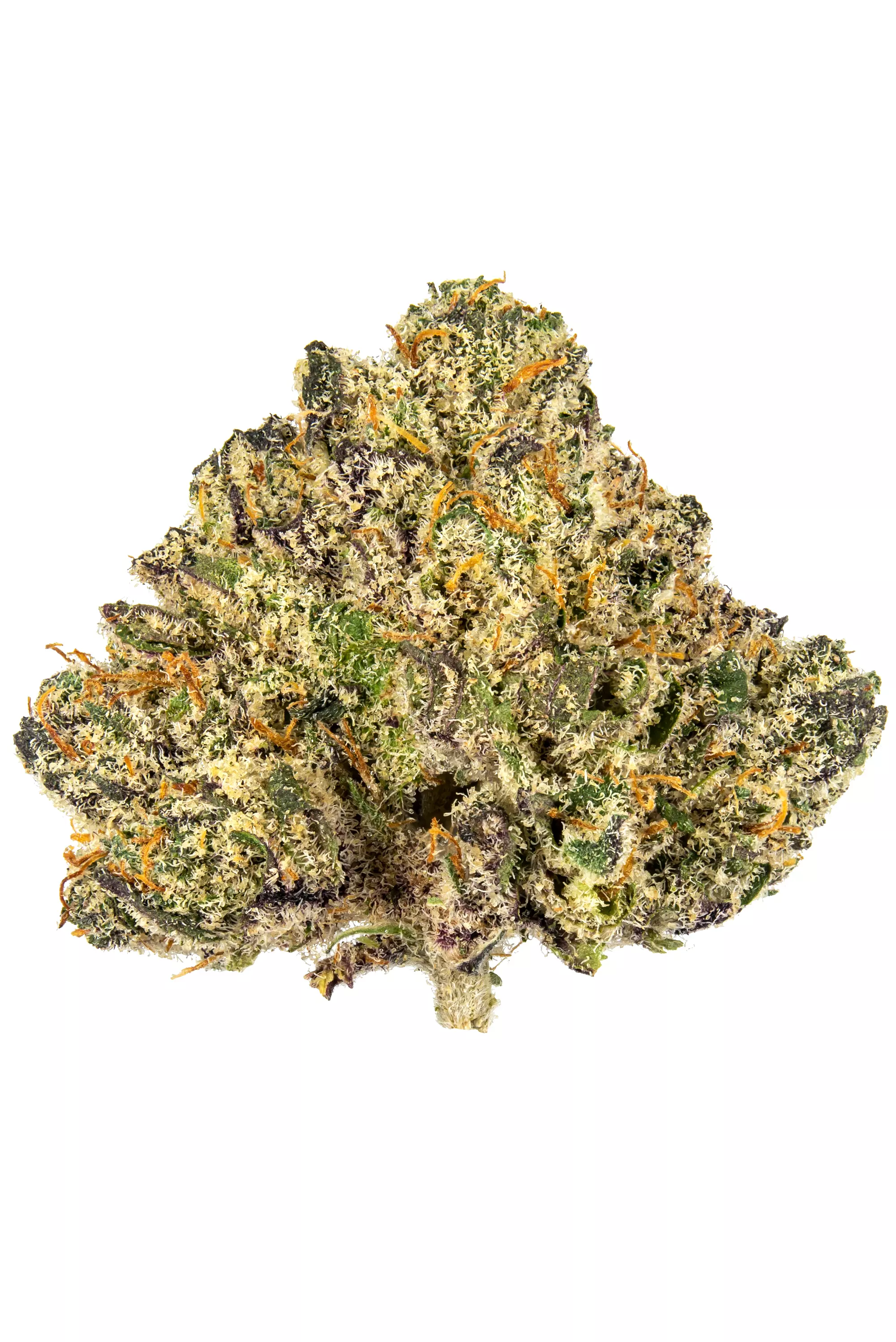 Blackberry Cream