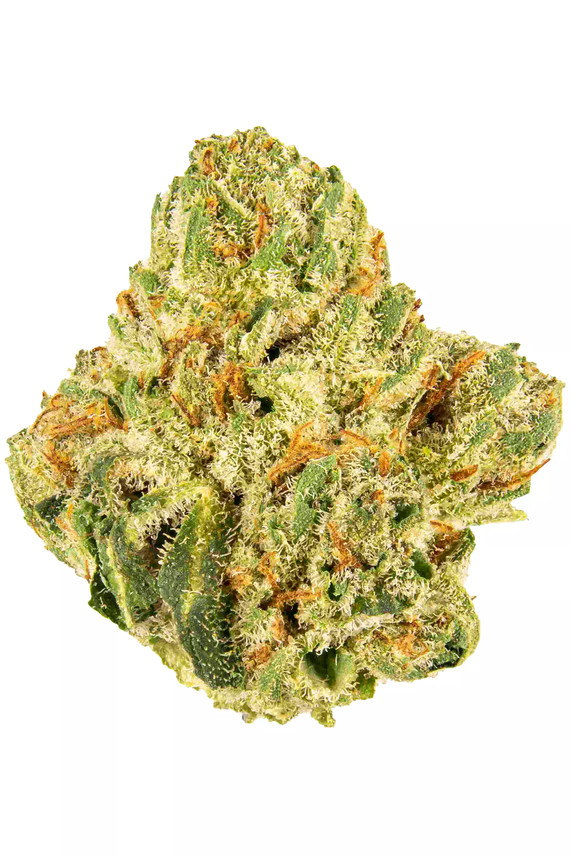 King Louis XIII